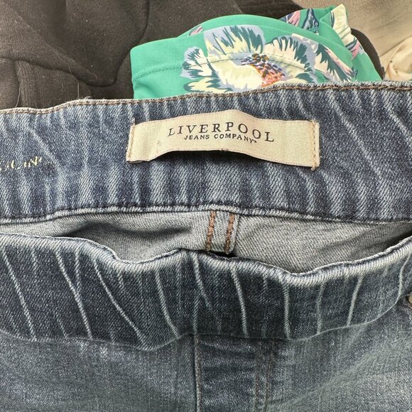 Liverpool Pull-on Jeans Womens size 14 Denim Leggings - Picture 4 of 7